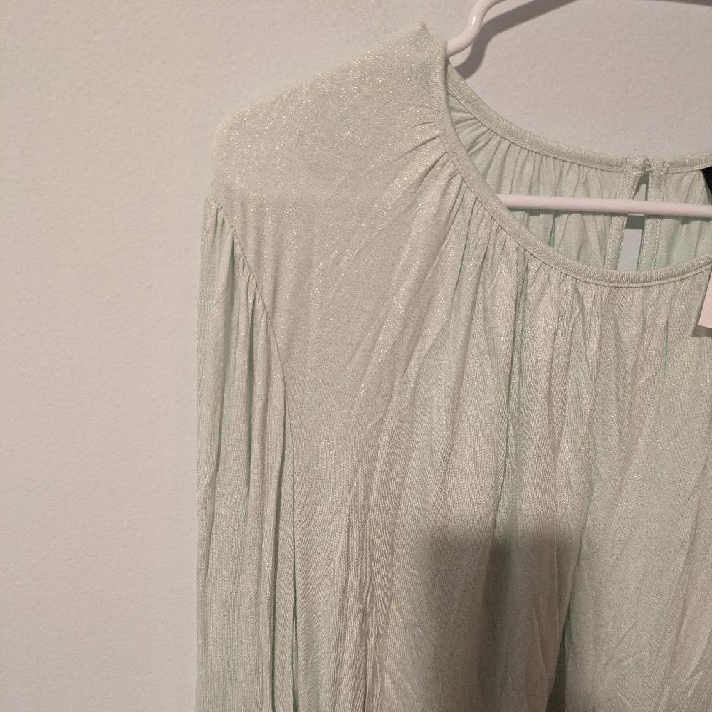 Lane Bryant Pale Green Sparkle Long Sleeve Smocked Cuff Top Size 18/20 or 2X